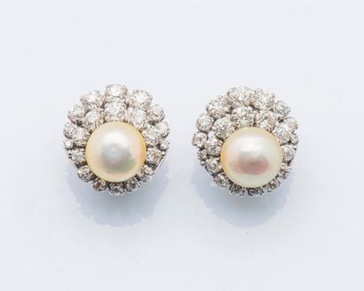 null Paire de clips d’oreilles en or gris 18 carats (750 millièmes) sertis de perles...