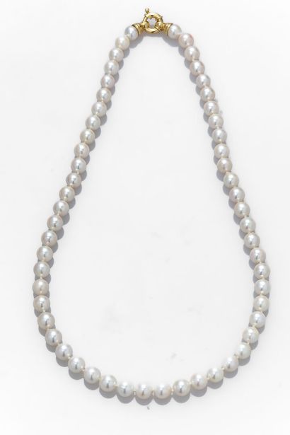 null Très joli collier de perles de culture du Japon 7.5/8mm.
Fermoir anneau res...