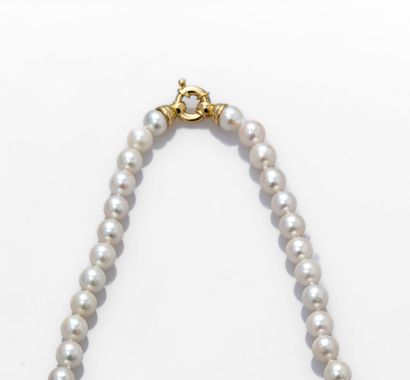 null Très joli collier de perles de culture du Japon 7.5/8mm.
Fermoir anneau res...