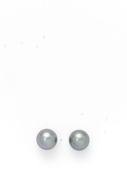 null Paire de boutons d'oreilles en or jaune sertis de deux perles grises de 9/9.5mm.
Fermoirs...