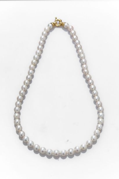 null Très joli collier de perles de culture du Japon 7.5/8mm.
Fermoir anneau ressort...