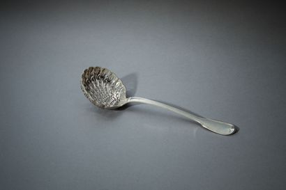 MALHER
Spoon sprinkler in silver model net...