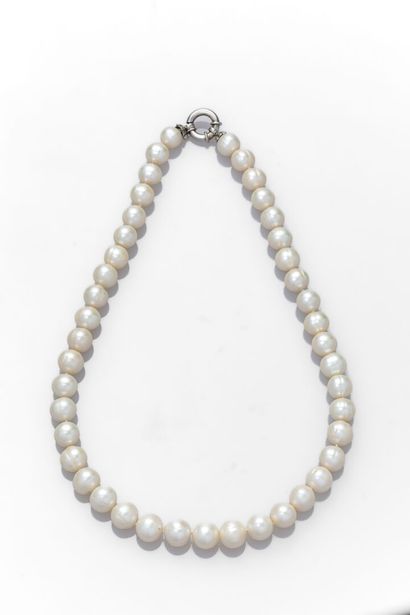 null Collier de perles de culture d'eau douce 9/10.5, fermoir anneau ressort en argent.
Poids...