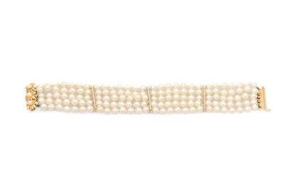 null Bracelet with 5 rows of 5/5.5 mm cultured pearls on a yellow gold clasp featuring...
