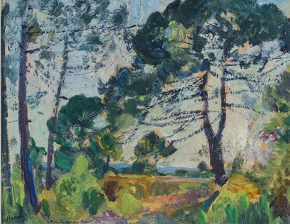 null CHARAVEL Paul (1877-1961)
Landscape, St Pons les Mûres
Oil on paper mounted...