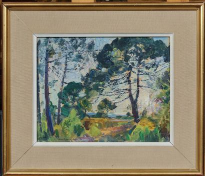 null CHARAVEL Paul (1877-1961)
Landscape, St Pons les Mûres
Oil on paper mounted...
