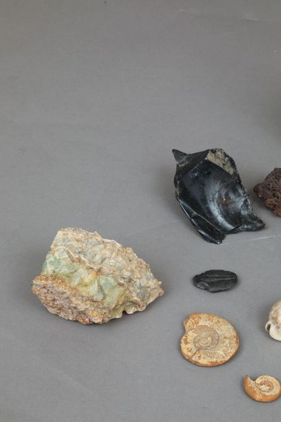 null Ensemble de pierres et fossiles.
dont Septaria (Madagascar?)