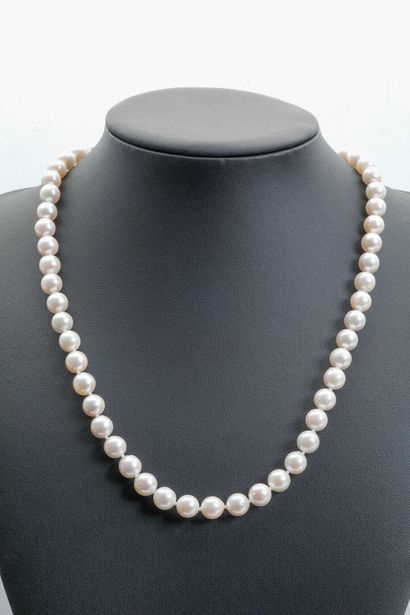 null Very pretty necklace of 56 Japanese cultured pearls 7.5/8 mm. 
Yellow gold spring-ring...