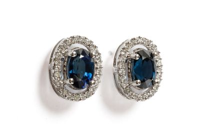 null Very nice pair of ear studs in 18K white gold set with two sapphires weighing...