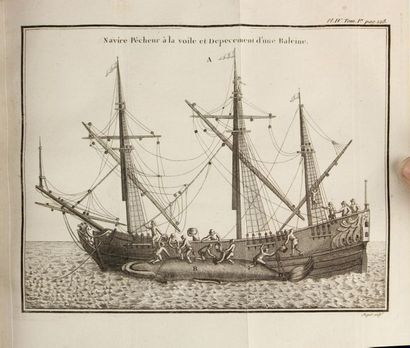 null [VOYAGES]. ZORGDRAGER (Cornelis Gijsbertsz). Histoire des pêches, des découvertes...