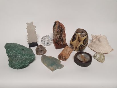  MINERALOGIE : pierre pétrifiée, pierre dure, quartz et coquillages