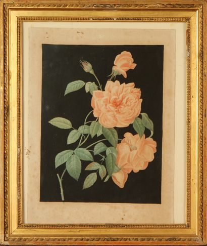 null A. LISOWSKA

Vase fleuri

Huile, signée en bas à gauche

Haut. 46 cm Larg. 38...