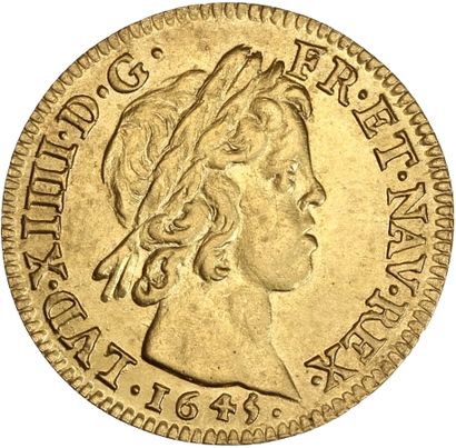 LOUIS XIV (1643-1715)

Louis d'or à la mèche...