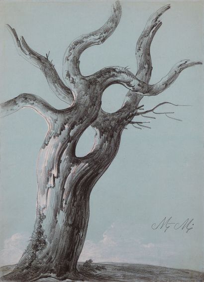 null ÉCOLE MODERNE

Etude d'arbre

Fusain et craie blanche sur papier bleu, monogrammé...
