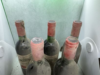 null 5 bouteilles Château PAVIE, 1° Grand Cru St-Émilion 1982 (es, elt, 3 J, 1 L...