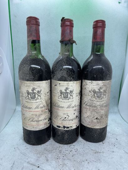 null 3 bouteilles Château MONTROSE, 2° cru Saint-Estèphe 1975 (es, ela, elt, 1 J,...