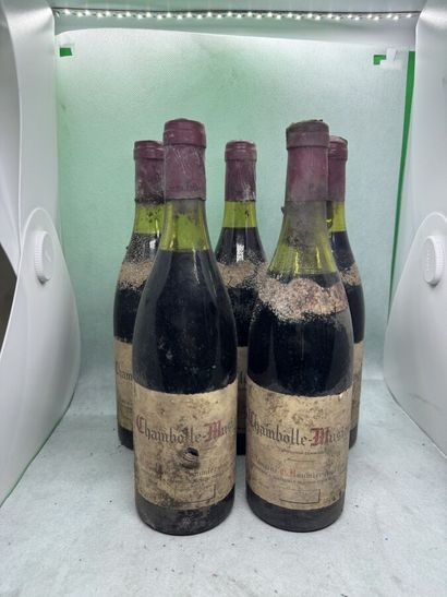 null 5 bouteilles CHAMBOLLE-MUSIGNY G. Roumier 1976 (es, elt, 4 TLB dont 1 SM, millésime...