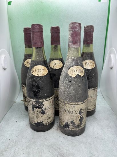 null 5 bouteilles POMMARD "Les Épenots 1er cru", Domaine Parent 1977 (ea/eta mais...