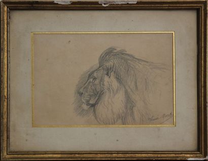 Aimé MOROT (1850 – 1913). C69. Aimé MOROT (1850 – 1913).
Etude de lion de profil.
Dessin...