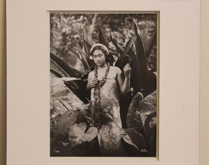 LUCIEN GAUTHIER (1875-1971) Tiare, Tahiti. Photographie, vers 1910. Haut.: 23 cm...