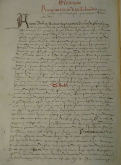 null REPERTOIRE terrien, baronnie des comtes de Polignac, Baron de Rochebaron, 1...