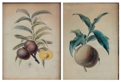 Alfred RIOCREUX (Sèvres, 1820-1912) Étude de pêche Deux aquarelles en pendant, monogrammées...