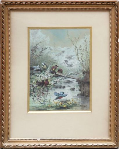 Narcisse VIVIEN, (XIXème siècle) Petits oiseaux à la rivière.

Aquarelle gouachée...