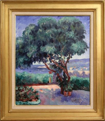 Henri MANGUIN (1874-1949) 
Paysage méditerranéen
Huile sur toile, signée en bas à...