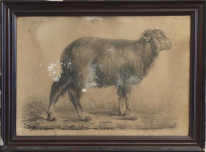 null L. LEJARS, XIXème siècle
Mouton
Dessin, signé et daté 1865 en bas à droite (chancis)
Haut....