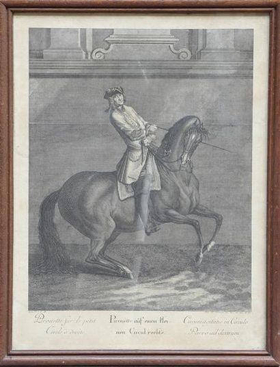 null ÉCOLE DE VIENNE D'APRÈS JOHANN ELIAS RÜDINGER
Chevaux
Deux gravures