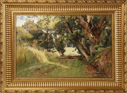 null PAUL LECOMTE (1842-1920)
Paysage de sous-bois
Huile sur toile, signée en bas...
