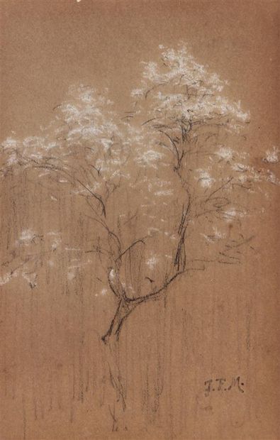 null JEAN-FRANÇOIS MILLET (1814-1875)
Arbre en fleurs au printemps
Dessin au crayon...