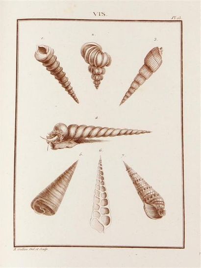 null [HISTOIRE NATURELLE / CONCHYLIOLOGIE - CUBIÈRES (Simon Louis Pierre de)]. S....