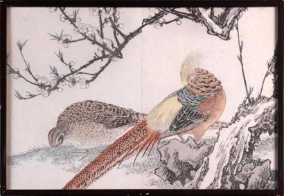 null ÉCOLE JAPONAISE VERS 1900
Oiseaux branchés
Huit planches couleurs dont une double
Haut....