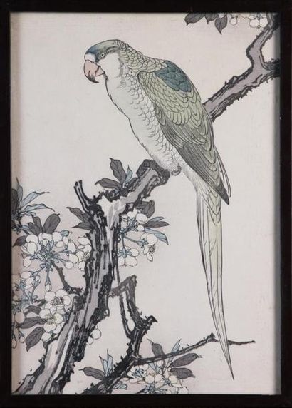 null ÉCOLE JAPONAISE VERS 1900
Oiseaux branchés
Huit planches couleurs dont une double
Haut....