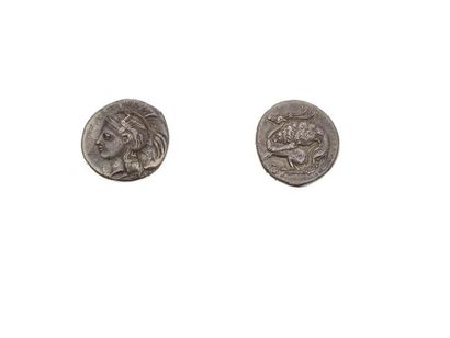 null ITALIE - LUCANIE 
Vélia (400-350 av. J.-C.) 2. Didrachme. 7,38 g. Tête d'Athéna...