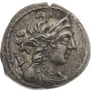 null - Tétradrachme : 4 exemplaires. Athènes (229-197 av. J.-C.), Ptolémée III (246-221...