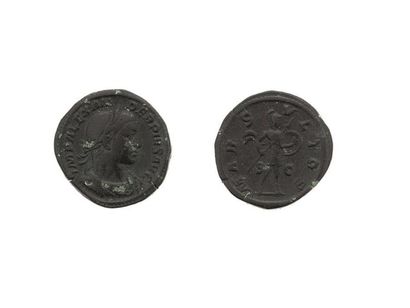null Grands bronzes : 9 exemplaires du Ier au IIIe siècle. Néron - Commode - Alexandre...