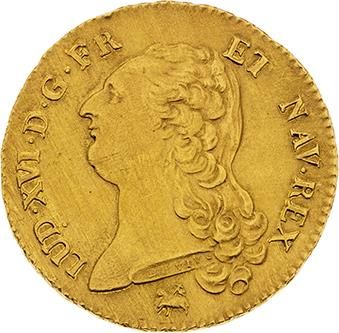 null LOUIS XVI (1774-1793)
Double louis d'or au buste nu. 1786. Rouen. D. 1706. TTB...