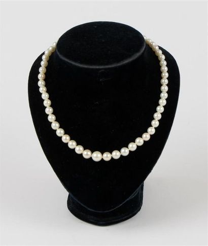 null COLLIER de perles de culture en chute, fermoir en or 18k (750 °/°°) avec chaînette...