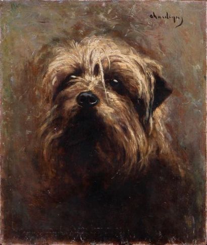 null JULES CHARDIGNY (1842-1892)
Tête de chien
Huile sur toile, signée en haut à...