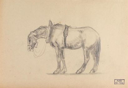 null ARY JEAN LÉON BITTER (1883-1973)
Chevaux 
Dix dessins au crayon noir ou au crayon...