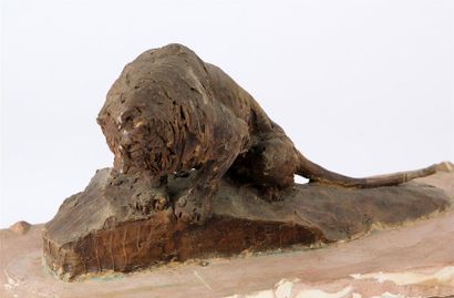 null ARY JEAN LÉON BITTER (1883-1973)
Lion à l'affût sur un rocher
Terre cuite originale,...