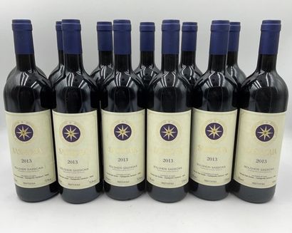 null 12 bouteilles BOLGHERI "Sassicaia", Tenuta San Guido 2013