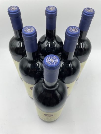 null 6 magnums BOLGHERI "Sassicaia", Tenuta San Guido 2014 (étiquettes légèrement...