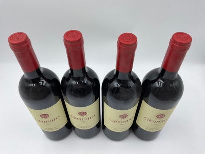 null 4 bouteilles VIGNETI DELLE DOLOMITI "Granato", Foradori, 2007