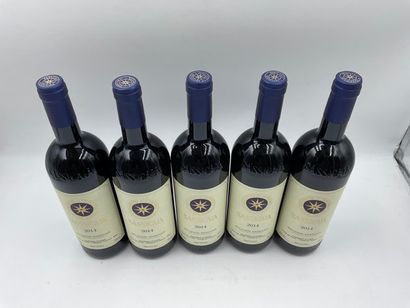 null 5 bouteilles BOLGHERI "Sassicaia", Tenuta San Guido 2014