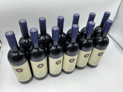 null 12 bouteilles BOLGHERI "Sassicaia", Tenuta San Guido 2014