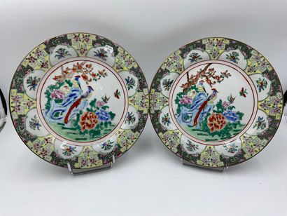 null CHINE, Paire d'assiettes en porcelaine à décor polychrome de phénix et d'insectes...