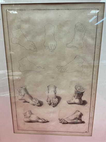 null Lot de 3 gravures anatomiques encadrées sous verre, époque XVIII-XIXéme dont...